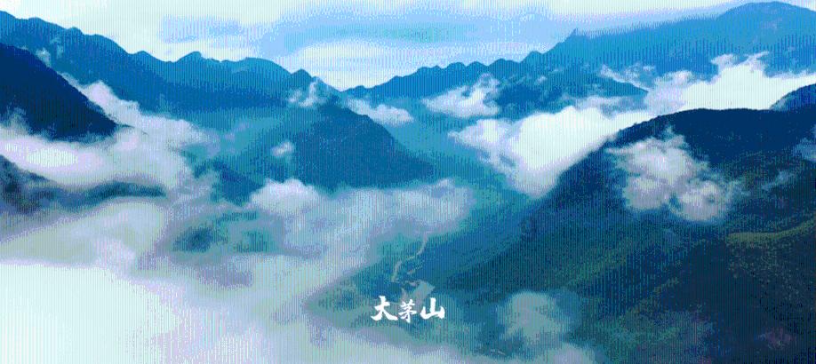绝对完美